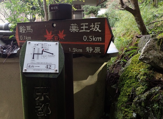 京都一周トレイル北山コース
