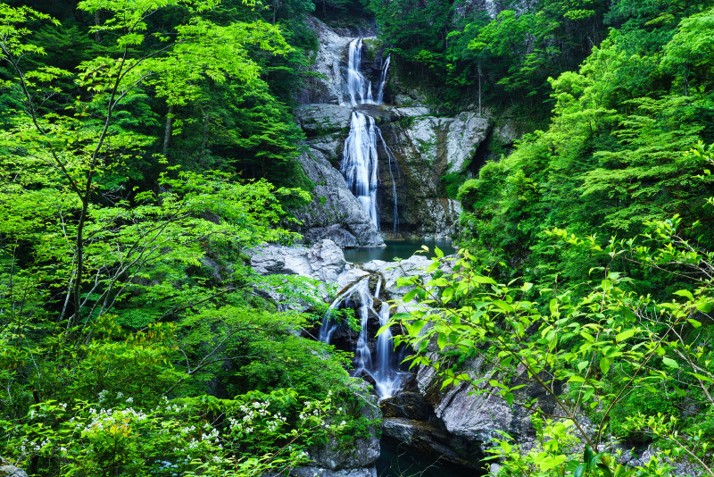 大杉谷の七ツ釜滝